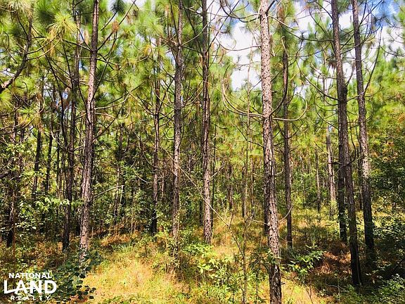 Another Possible Homesite 