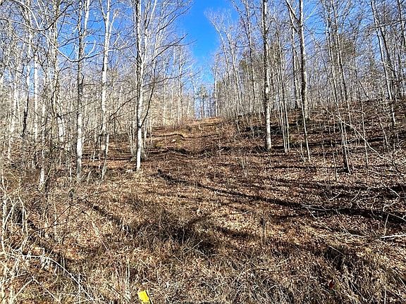 4th image of 0 Two Mile Creek Rd