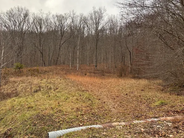 O'Brion Rd, Duck, WV 25063