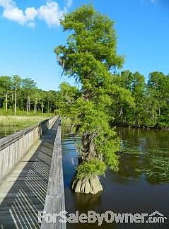 River : View from 1/2 down dock back up to homesite.