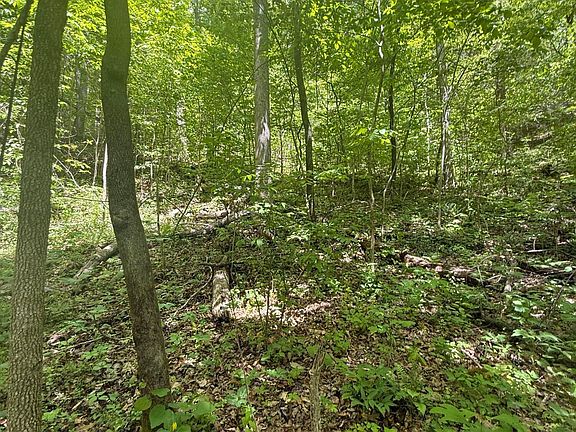 5th image of 4045 Suttons Rd