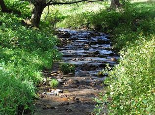 000 Poplar Gap Rd, Hot Springs, NC 28743