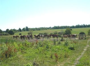 3390 Eager Rd, Jamesville, NY 13078