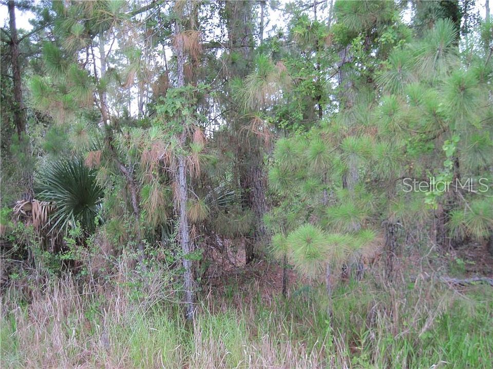 2nd image of 39831 Royal Trails Rd