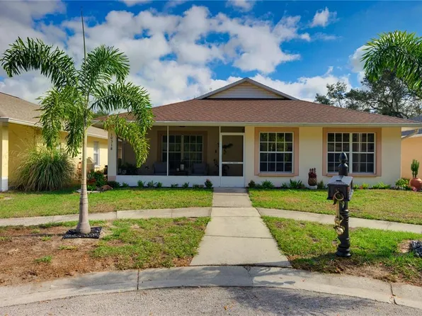 10318 Summerview Cir, Riverview, FL 33578