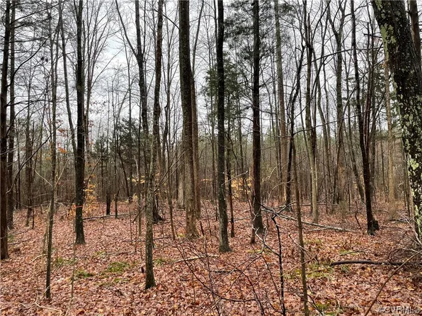 0 Doswell Town Rd, Meherrin, VA 23954