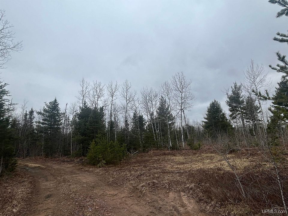 2nd image of PARCEL 6 W Johnson Lake Rd