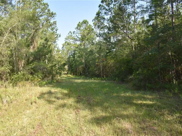 17007 NE County Road 1475, Gainesville, FL 32609