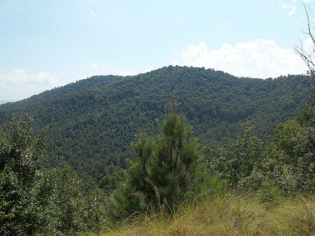 1st image of 9 Indian Paint Brush Dr