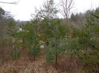 Deer Lodge Hwy, Sunbright, TN 37872