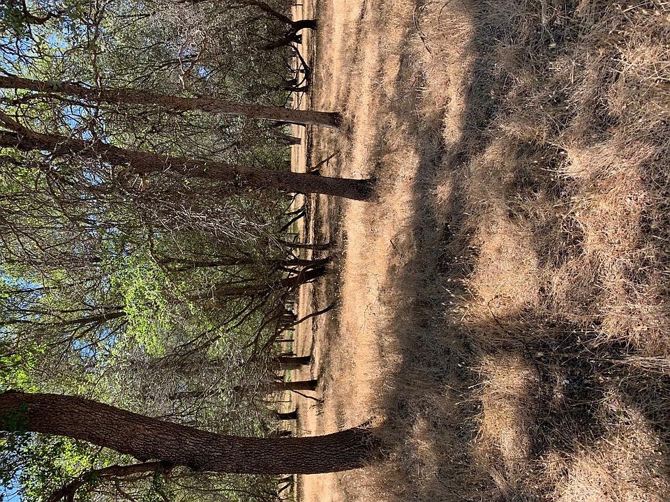 1st image of 11591 Alita Ct