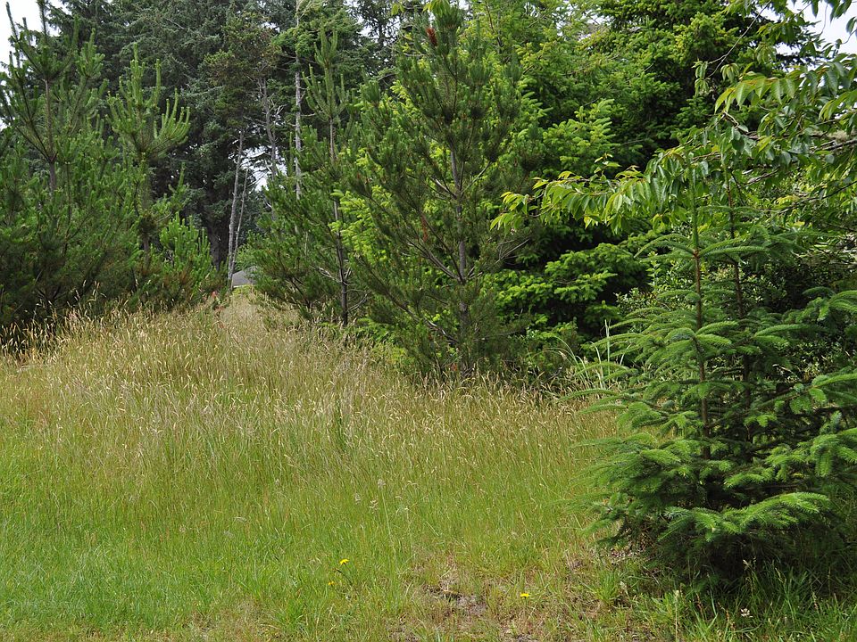 2nd image of Carnegie Rd Vl