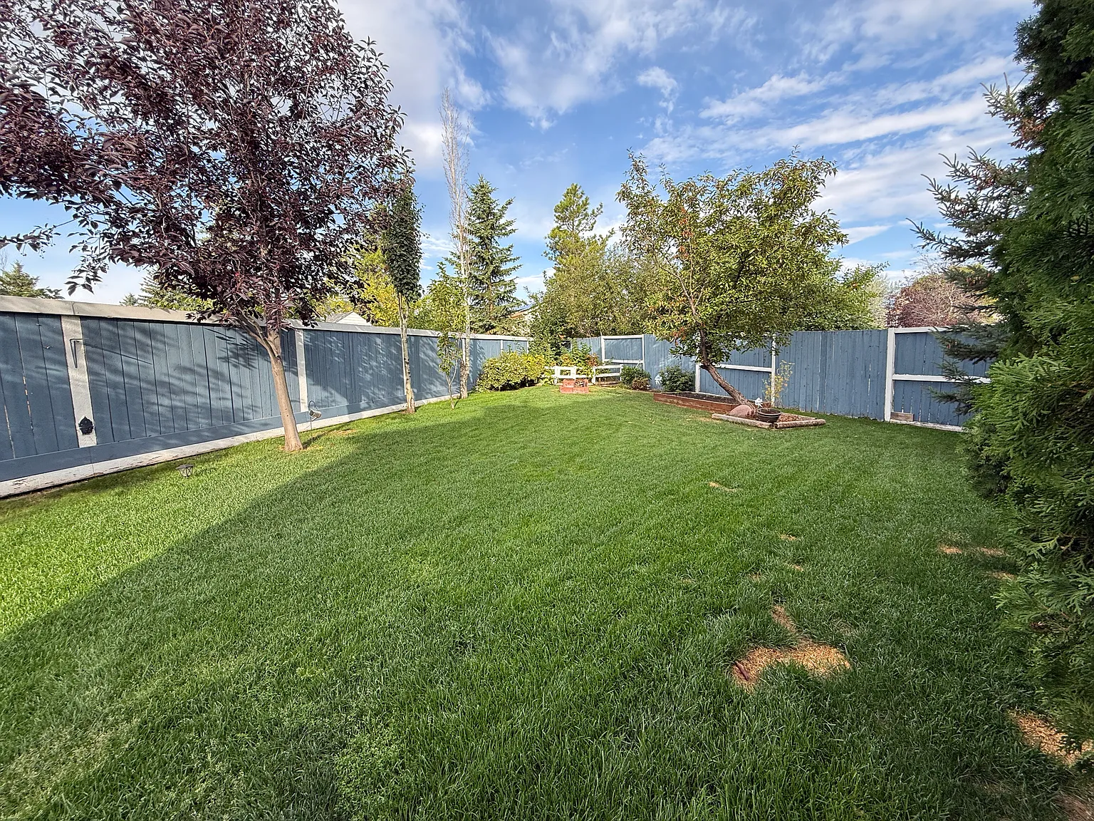 Larkspur 3 Bed 2.5 Bath Family Home For Rent — Photo 3