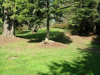 5th image of 3144 E Greentree Ln