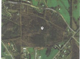 6646 Thompson Rd, Clermont, GA 30527