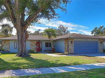 4106 Summerdale Dr, Tampa, FL, 33624