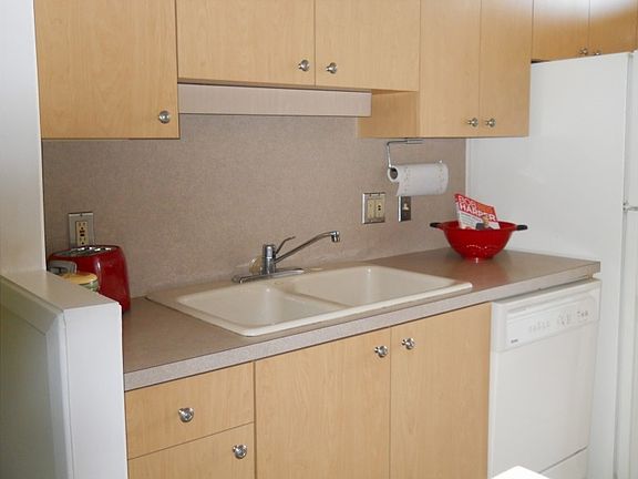 kitchen with stove, fridge, dishwasher, disposal