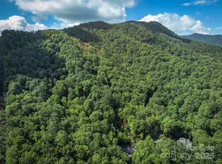 66 Sisters View Dr #159, Black Mountain, NC 28711