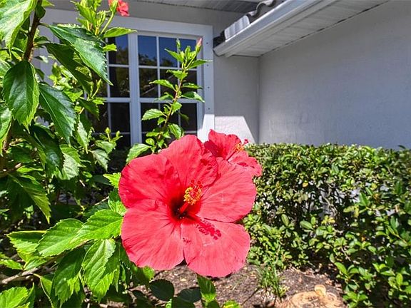 5th image of 8467 Cypress Hollow Dr
