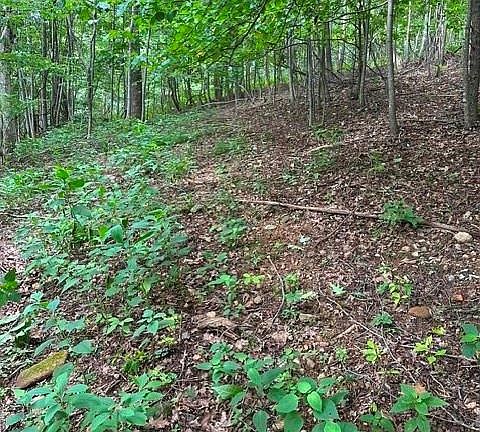3rd image of 0 Cove Gap Rd #2