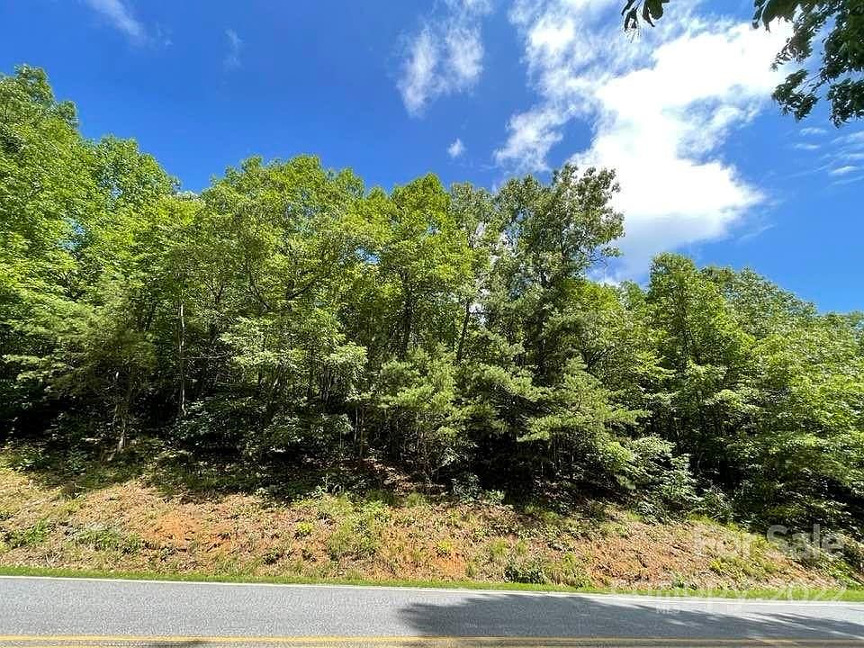 0 White Oak Mountain Rd 36, Columbus, NC 28722 Zillow
