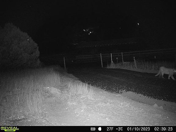 2nd image of 368 County Road A11a
