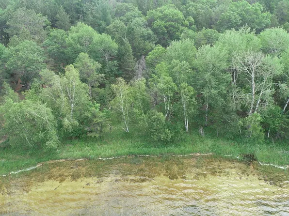 Xxs E Horseshoe Lake Rd, Merrifield, MN 56465