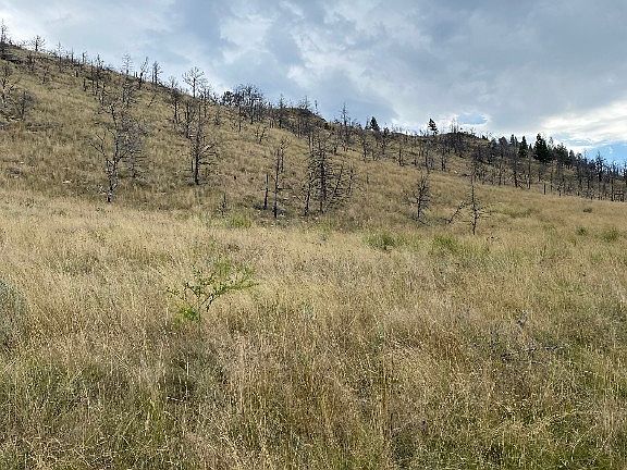 3rd image of LOT 25 Mayn Creek Rd