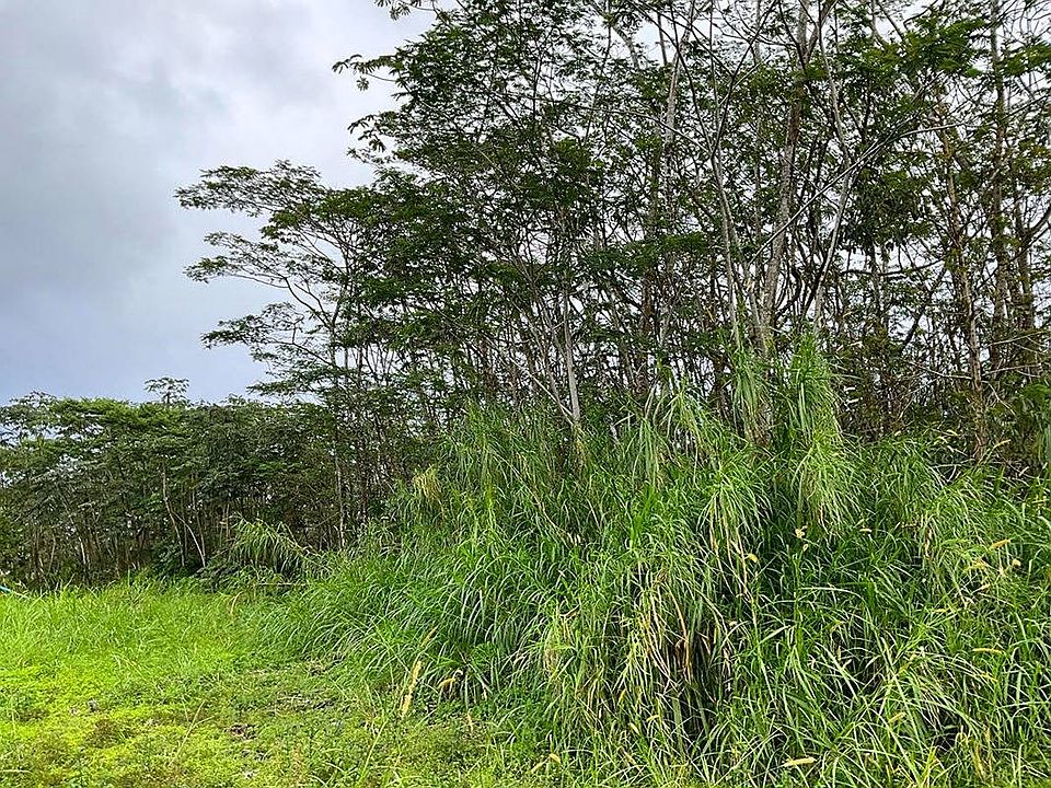 1st image of 19th Ave Lot 1460