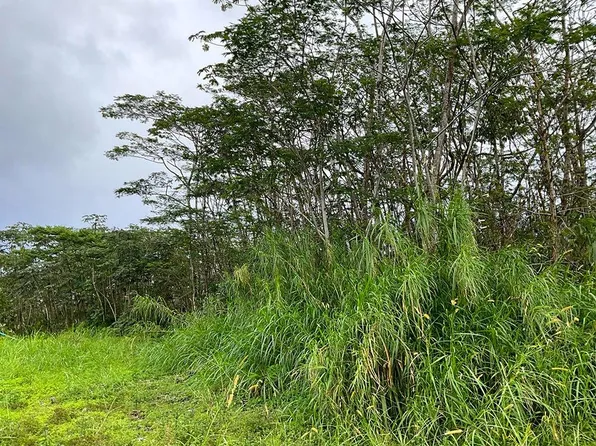 19th Ave Lot 1460, Keaau, HI 96749