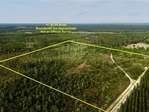 Off Highway F Lot 225, Gainesville, FL 32609