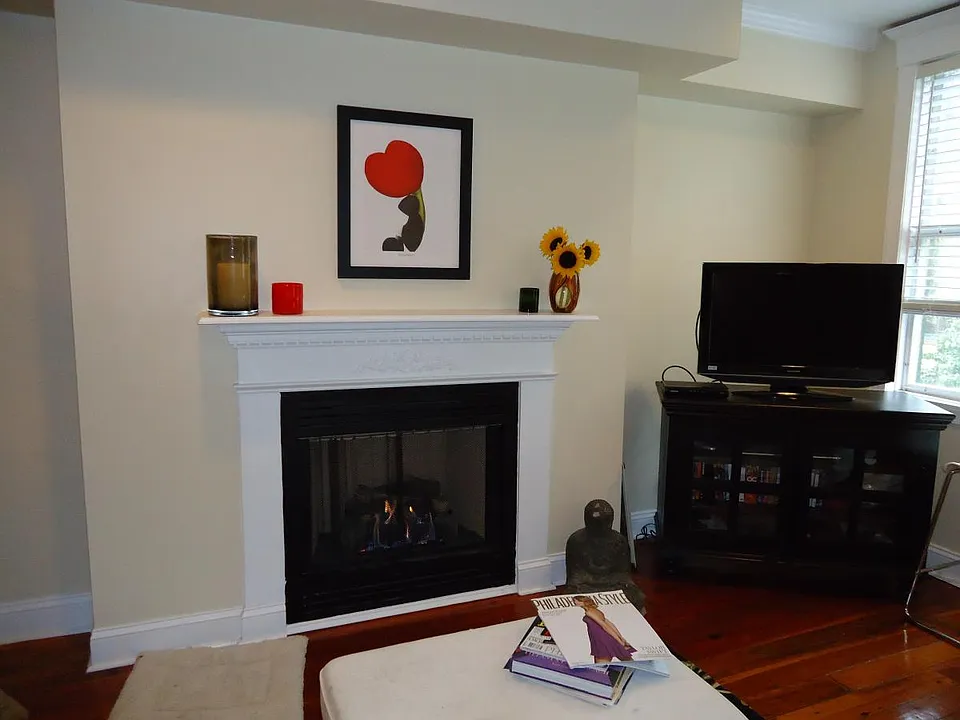 Living Room FirePlace