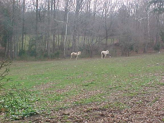 5th image of 720 Mt Lebanon Church Road