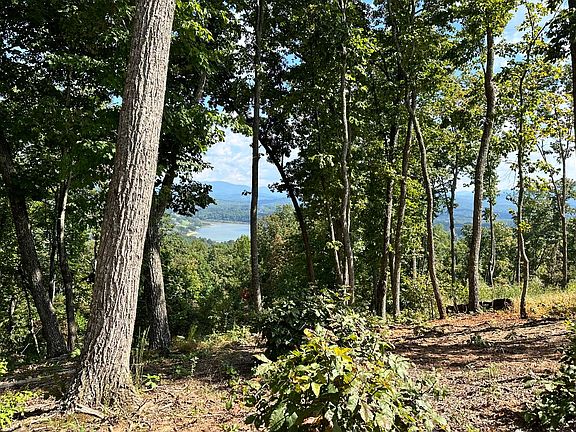 5th image of LOT 54 Highland Frg