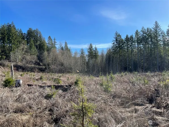 3 xx Brim Road, Onalaska, WA 98570