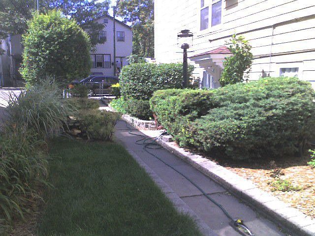 Side Yard View