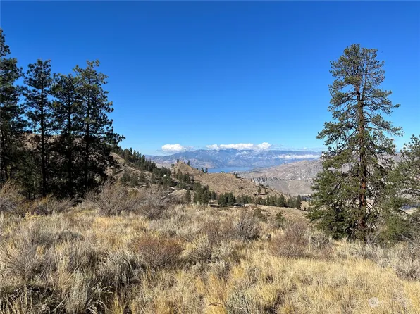 0 Pine Hollow Drive, Orondo, WA 98843
