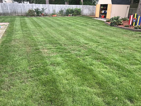 Renovated back yard in 2017