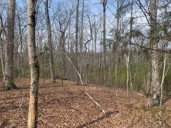 1.2 Quail Ln, Spencer, TN 38585