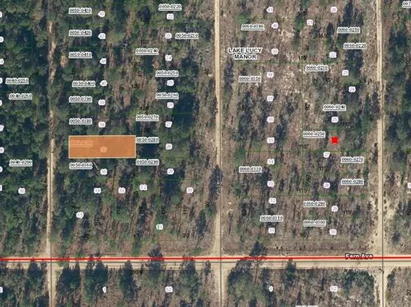 LOT 37 Paxon St Lot 37, Interlachen, FL 32148