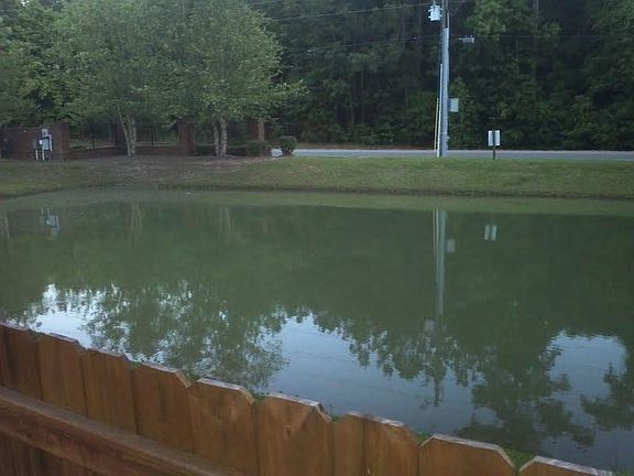 Fish Pond