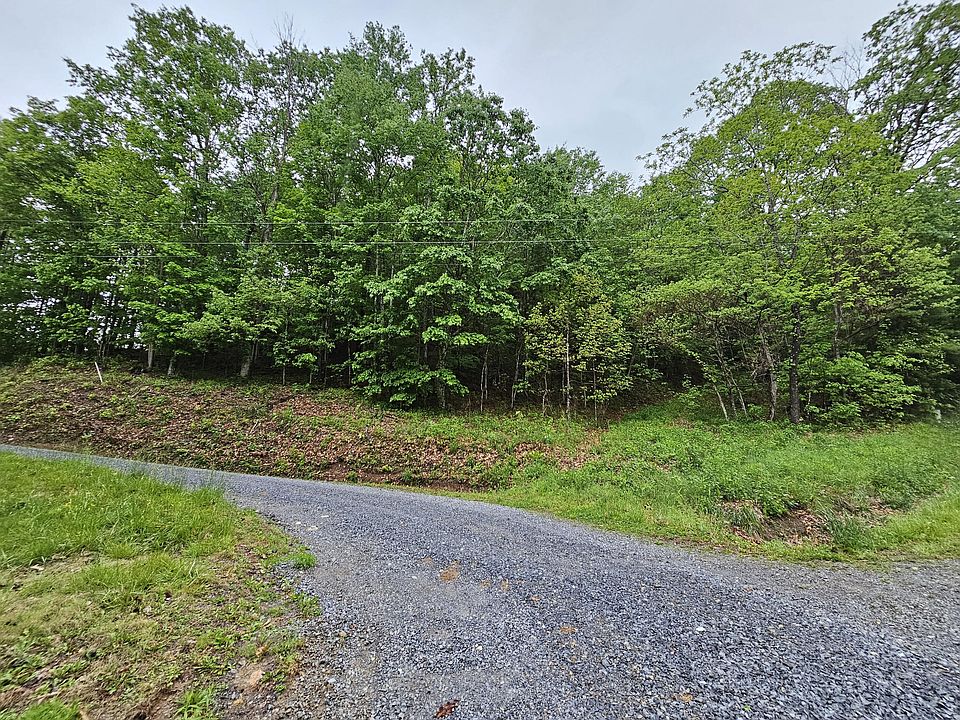 Tbd Left Higgins Creek Rd, Flag Pond, TN 37657 MLS 9951738 Zillow
