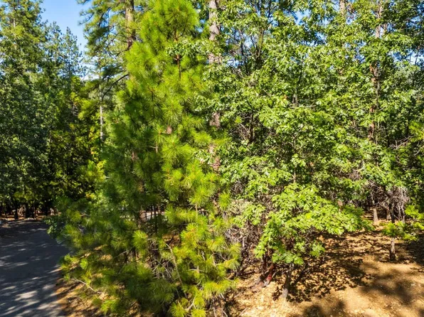 23983 Pack Trail Rd, Sonora, CA 95370