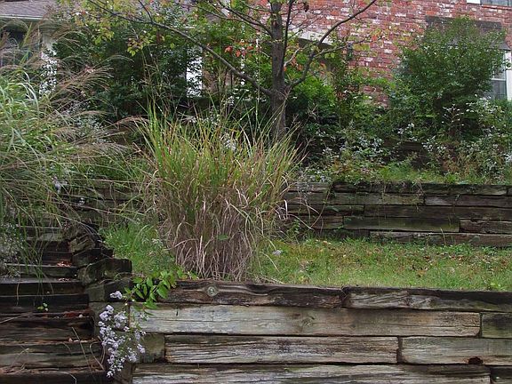 Our perch on top of the hill