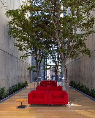 Rented by Compass | media 9