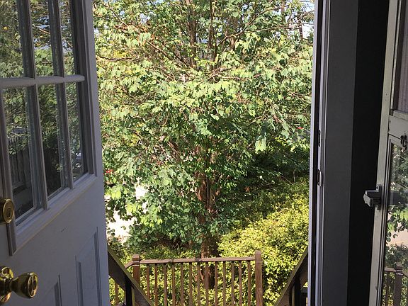 View from Kitchen back door