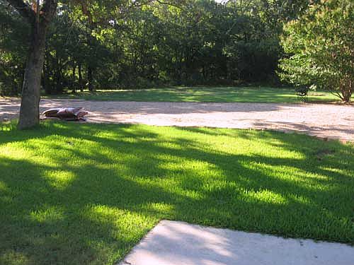 View From Master Bedroom