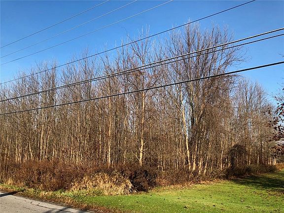 2nd image of 1873 Paddy Ln