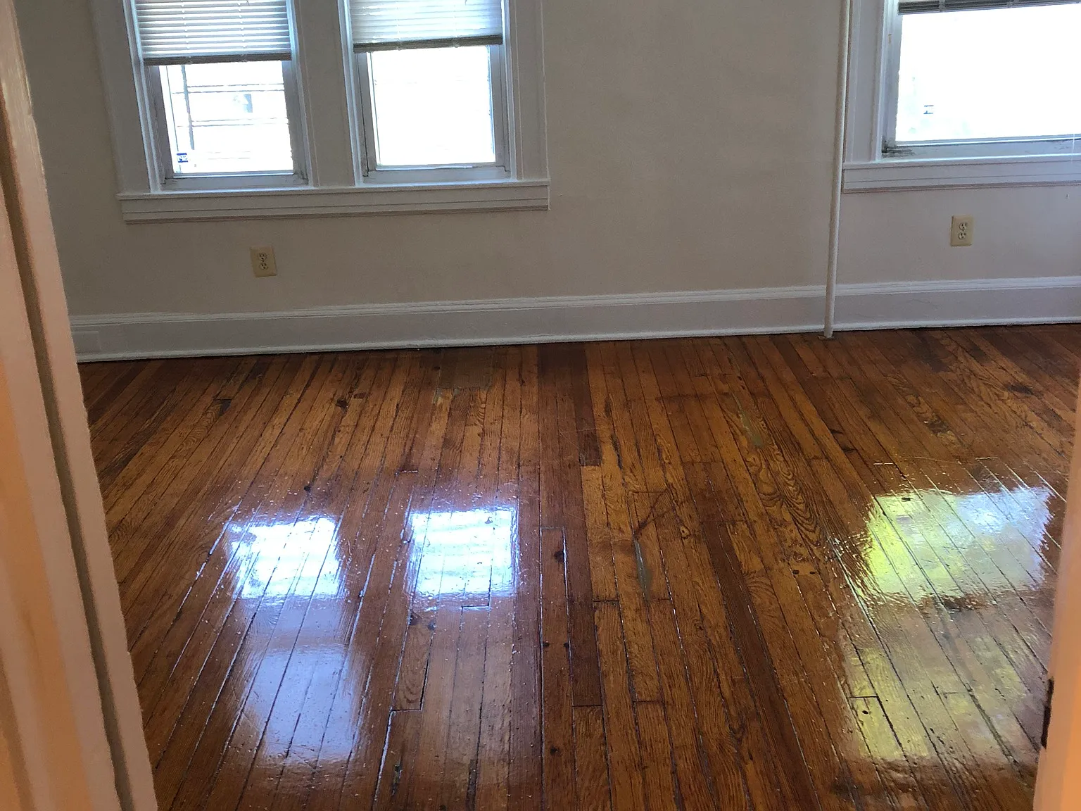 1 bed, $1,050 — Photo 4
