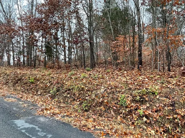 0 Arrington Rd, Rogersville, TN 37857